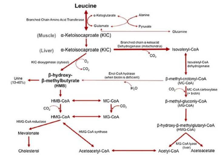 Näyttökuva 2018-4-13 kello 13.35.27