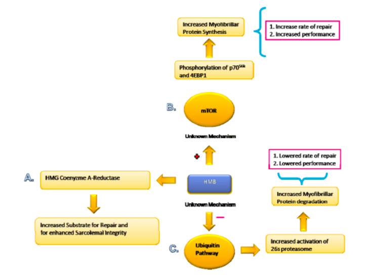 Näyttökuva 2018-4-13 kello 13.43.49