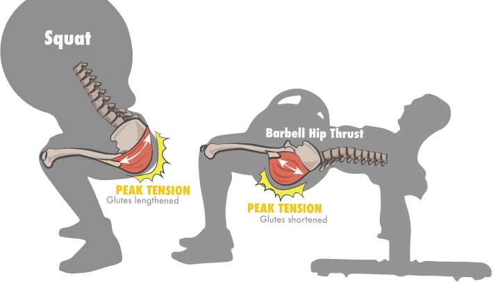 Bret peak tension.png